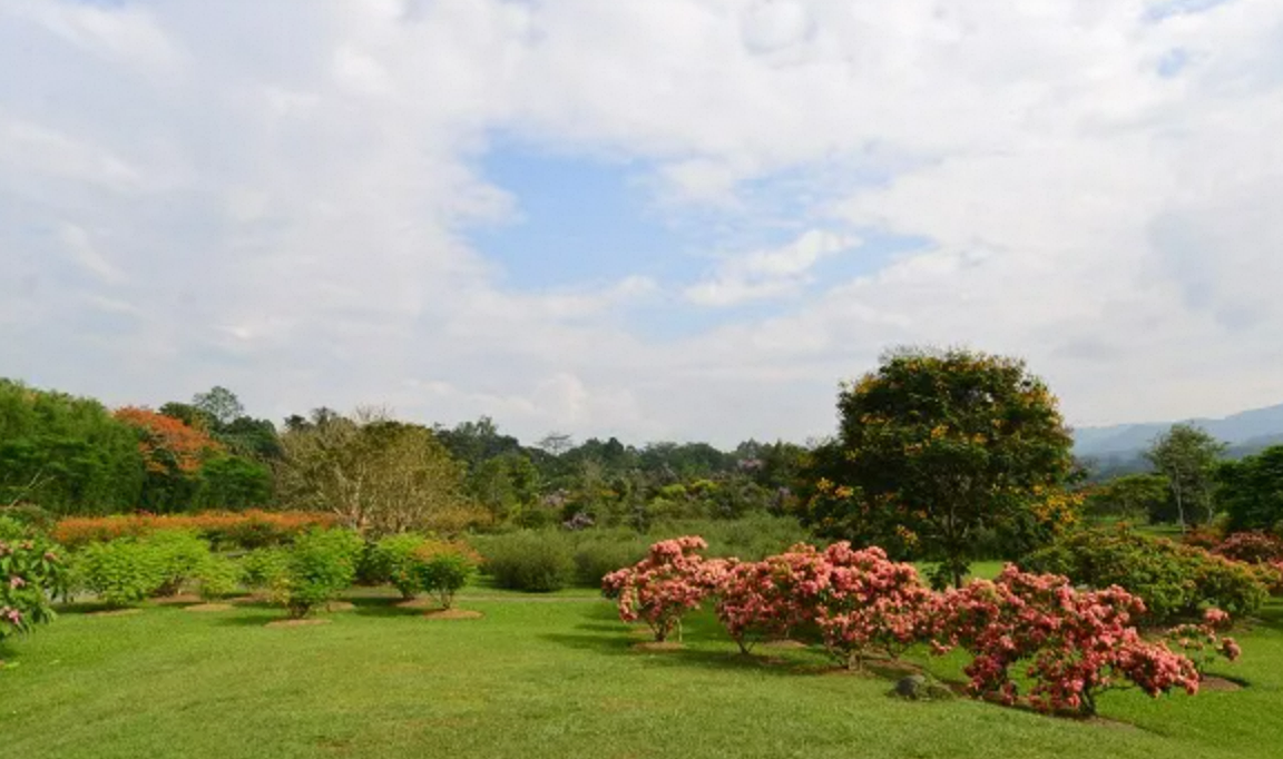 Tropical Botanical Garden in Xishuangbanna